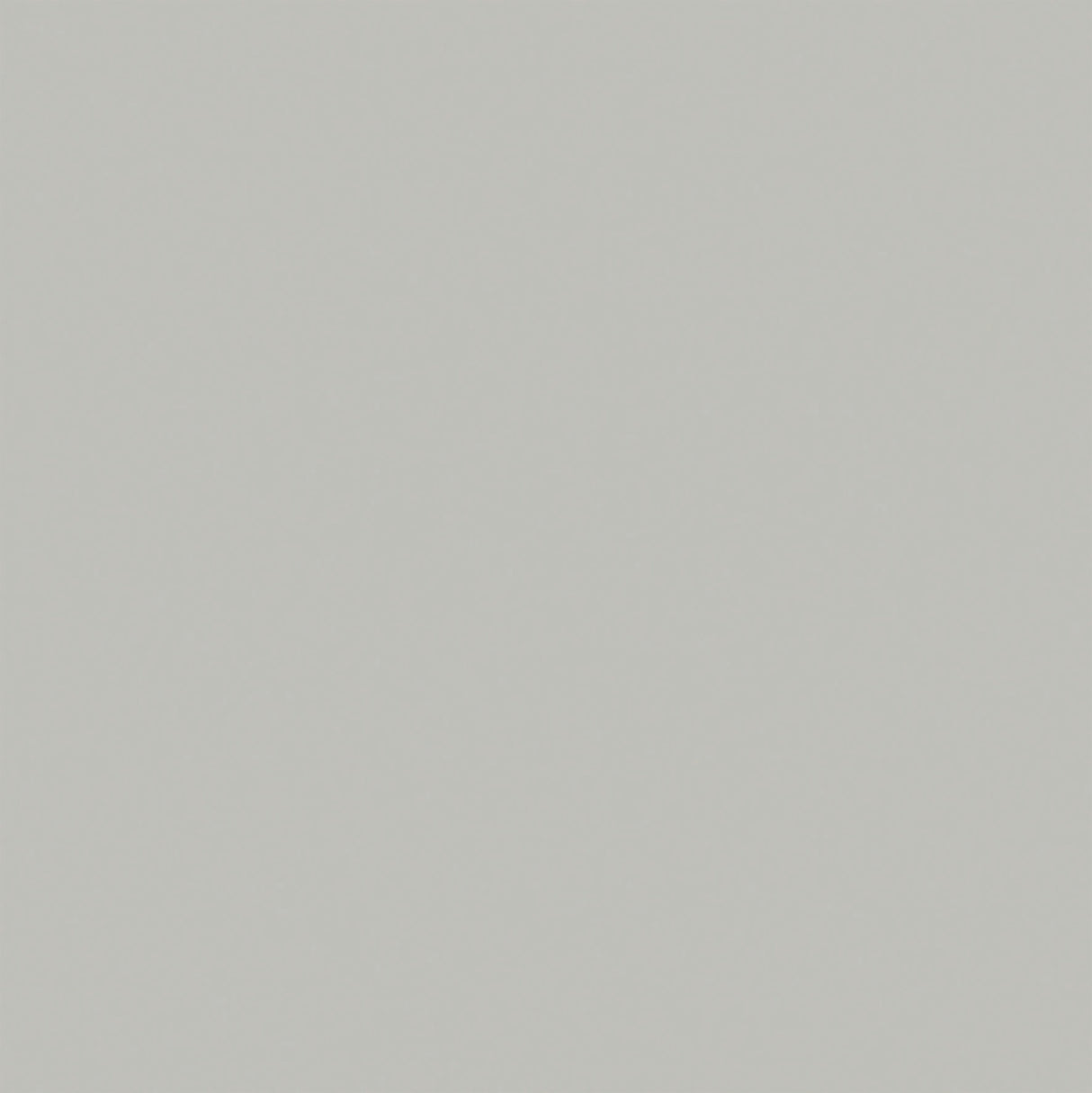 Carrelage Garage Pleine Masse Area Gris 30x30