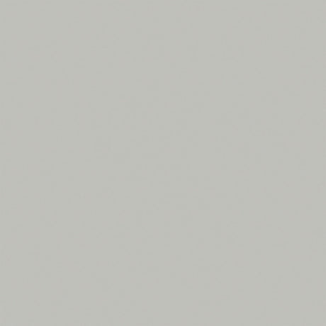 Carrelage Garage Pleine Masse Area Gris 30x30