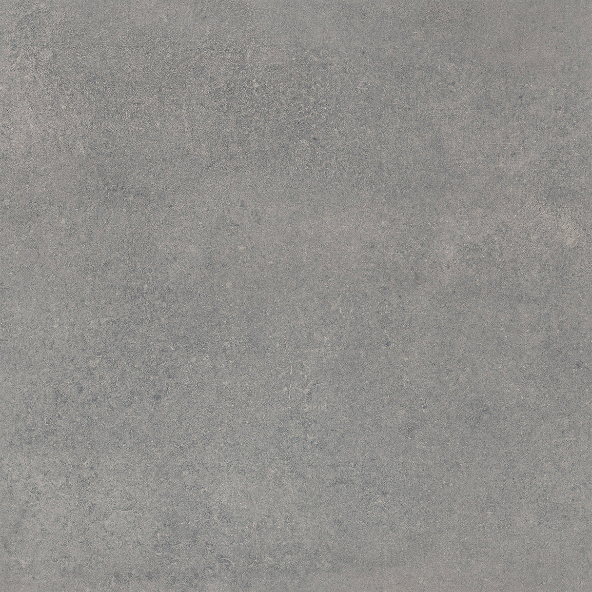 Carrelage 60x60 Concrete Graphite Rectifié