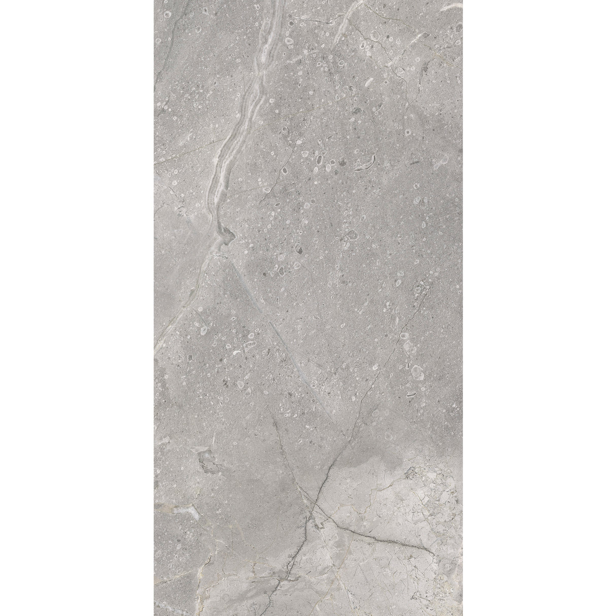 Carrelage Marbre 60x120 Masterstone Silver Rectifié - POLI BRILLANT