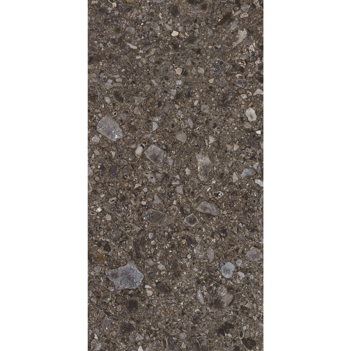 Carrelage Terrazzo 60x120 Ceppo Nuovo Black Naturel Rectifie