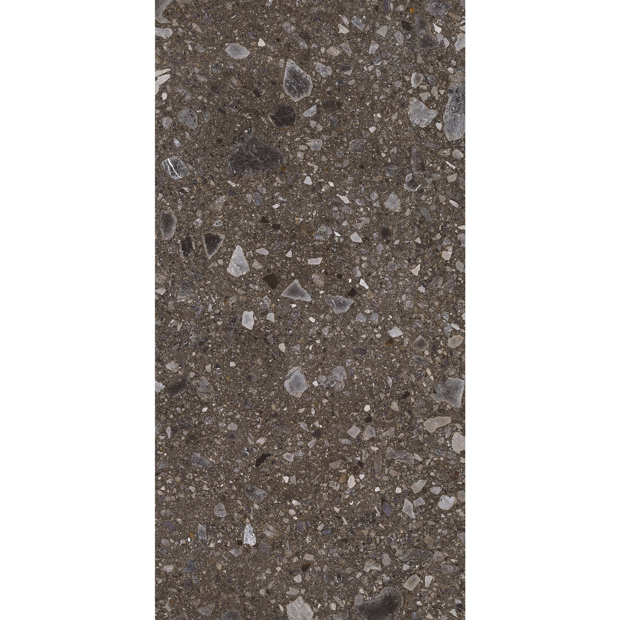 Carrelage Terrazzo 60x120 Ceppo Nuovo Black Naturel Rectifie