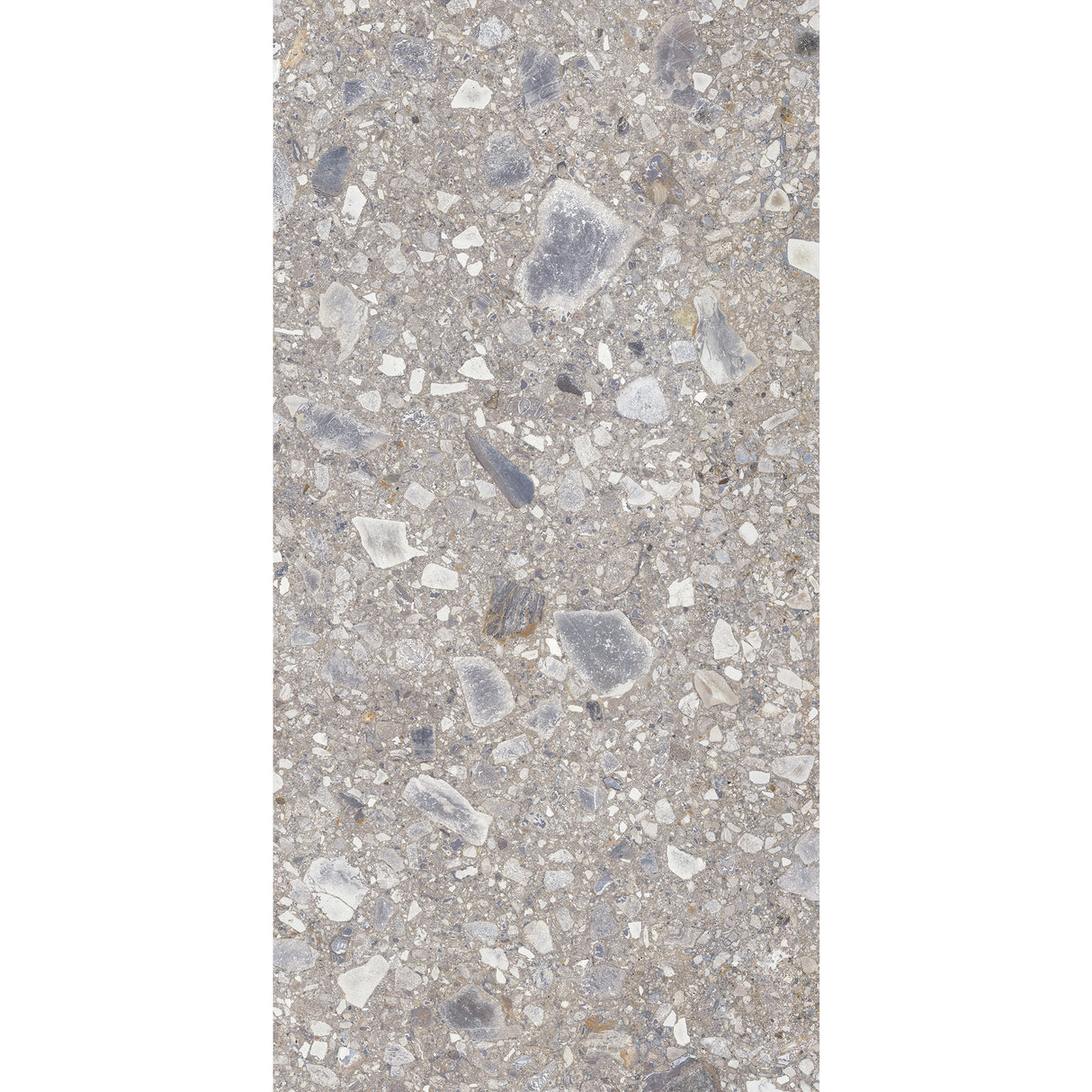 Carrelage Terrazzo 60x120 Ceppo Nuovo Silver Poli Rectifie