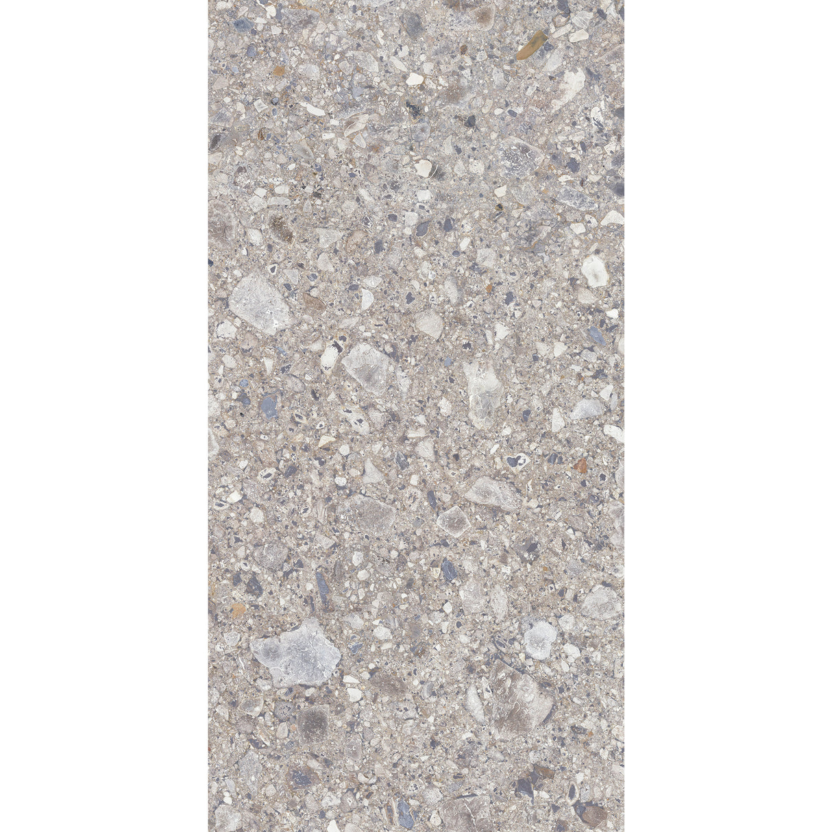 Carrelage Terrazzo 60x120 Ceppo Nuovo Silver Poli Rectifie