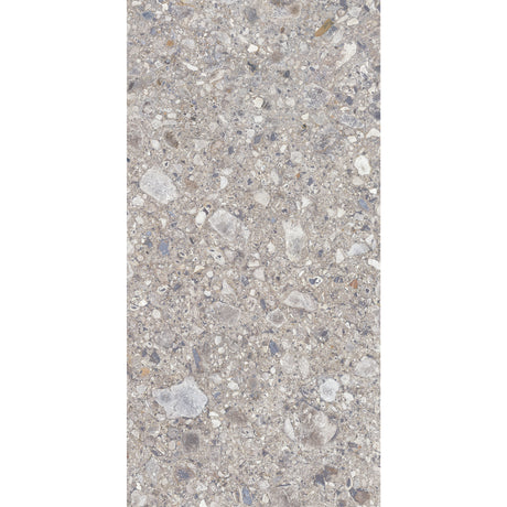 Carrelage Terrazzo 60x120 Ceppo Nuovo Silver Poli Rectifie