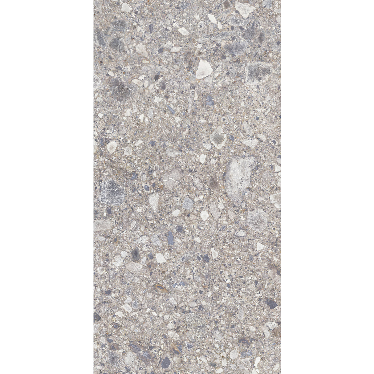 Carrelage Terrazzo 60x120 Ceppo Nuovo Silver Poli Rectifie