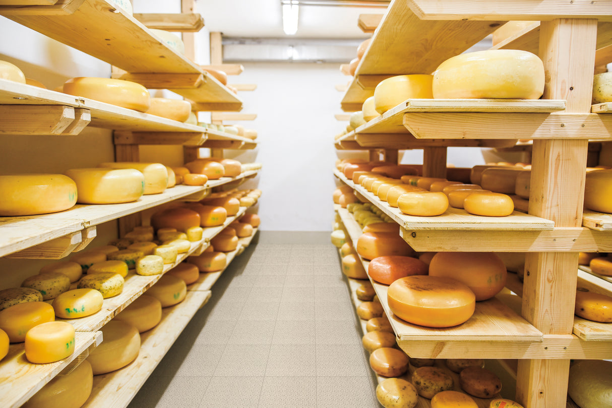 Carrelage 20x20 Area Diamant 44 Vanille Cuisine Professionnelle