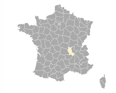 Carrelage Loire (42)