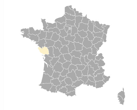 Carrelage Vendée (85)