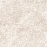 Carrelage Cuisine Professionnelle Antidérapant 45x45 Massif Beige