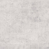 Carrelage Toutes Pièces Masse Colorée 45x45 Zenith Gris