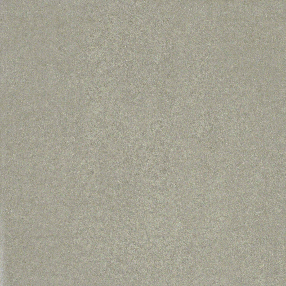 Carrelage Pleine Masse Diva Licia Gris 60x60 Intérieur/Extérieur R10 Rectifié