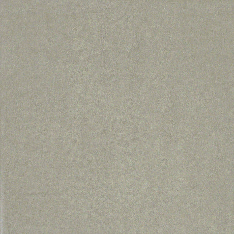 Carrelage Pleine Masse Diva Licia Gris 60x60 Intérieur/Extérieur R10 Rectifié